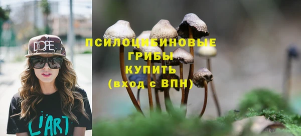 эйфоретик Алексин