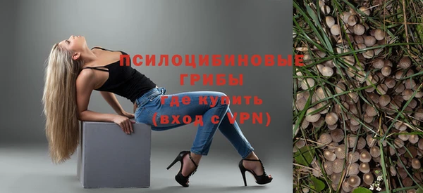 Альфа ПВП Абаза