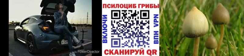Галлюциногенные грибы ЛСД  Ковров 