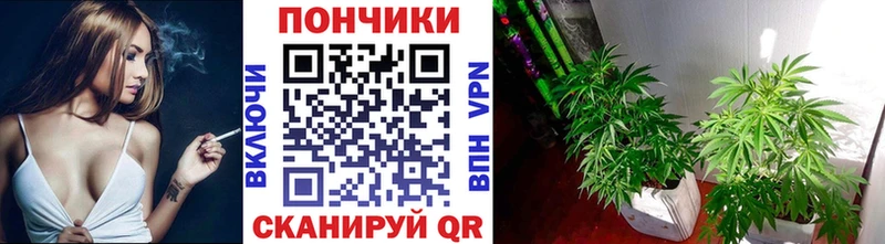 МАРИХУАНА SATIVA & INDICA  Ковров 